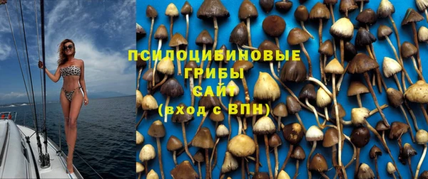 каннабис Алзамай